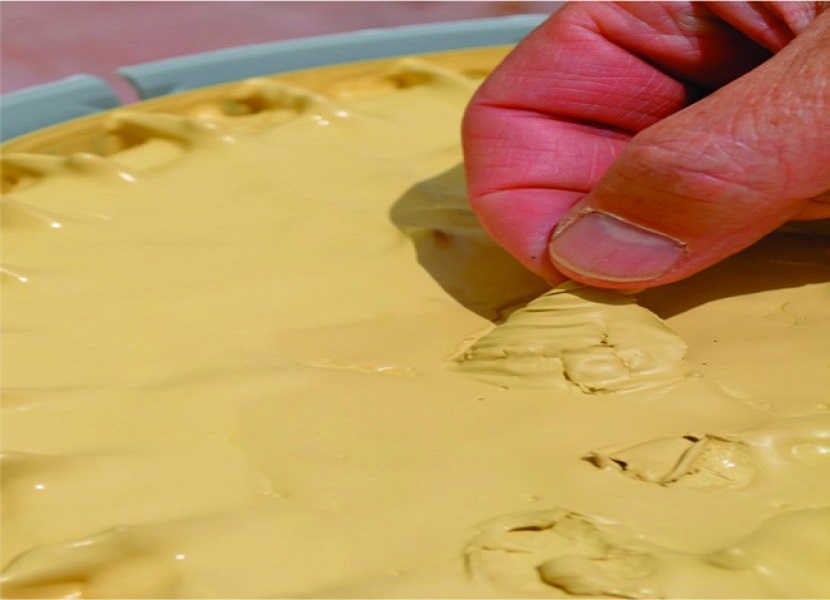 ضد رویه